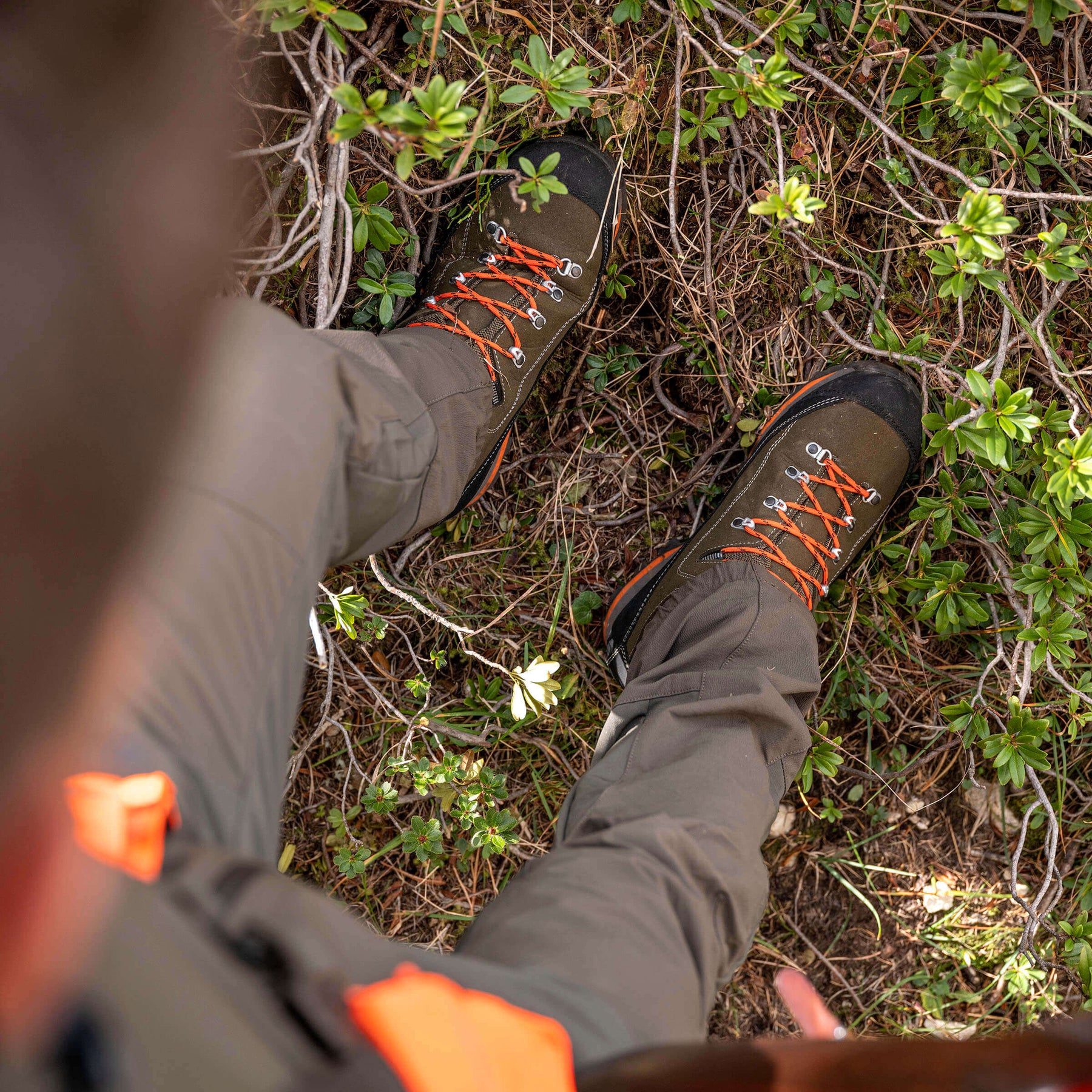 SIERRA GTX - Forest