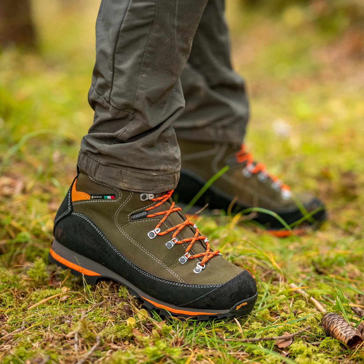 SIERRA GTX - Forest
