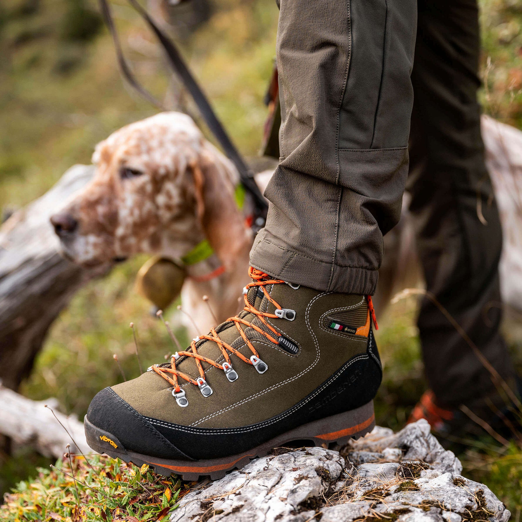 SIERRA GTX - Forest