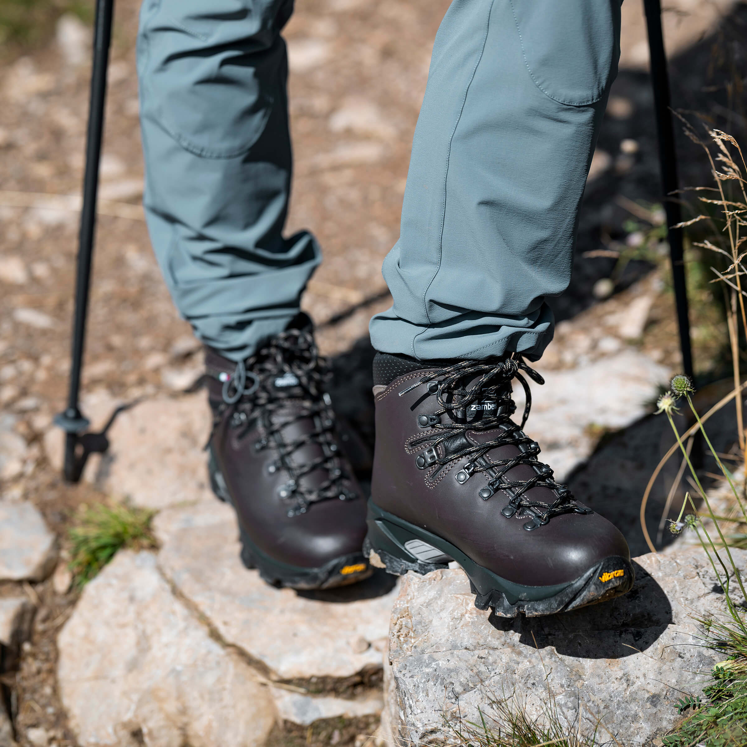 VIOZ GTX - Dark Brown | Men's Hiking & Backpacking Boots